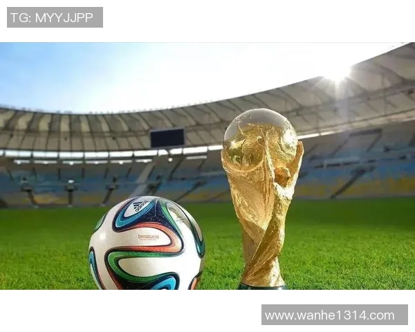 聚焦wake足球球星成长历程与赛场辉煌瞬间揭秘